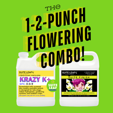 1-2 Punch Flowering Combo for Indoor and Outdoor Gardening